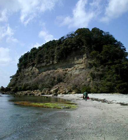 下関市豊北町神田鍋島の日置層群